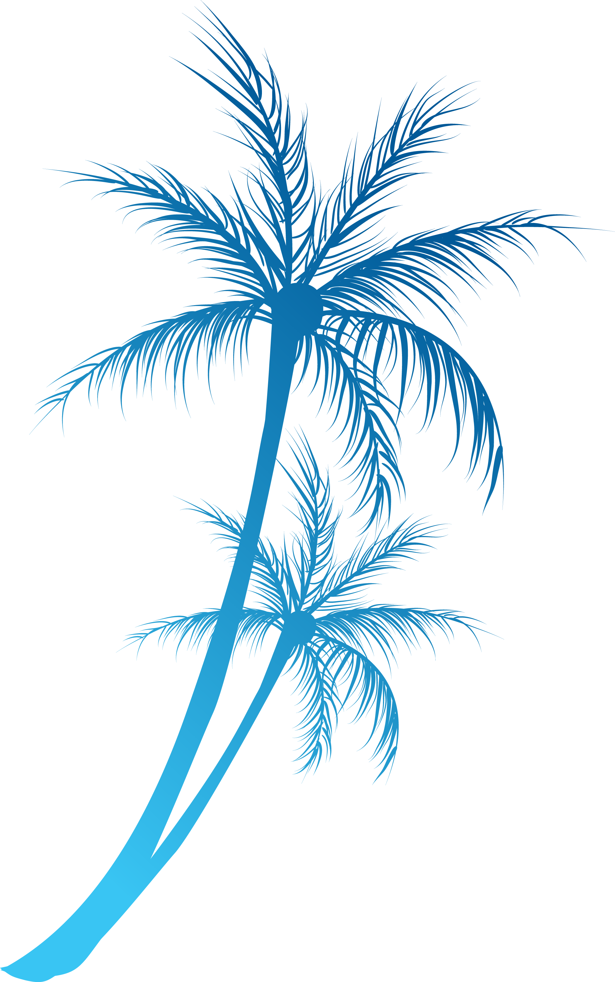 Coconuts Vector Tree Line Black And White - Palm Tree Splash (2099x3347), Png Download