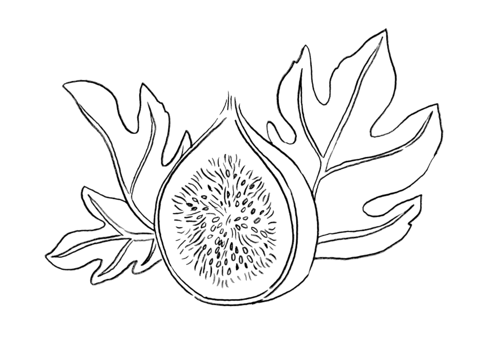 Syd's Fig Tattoo (1000x749), Png Download