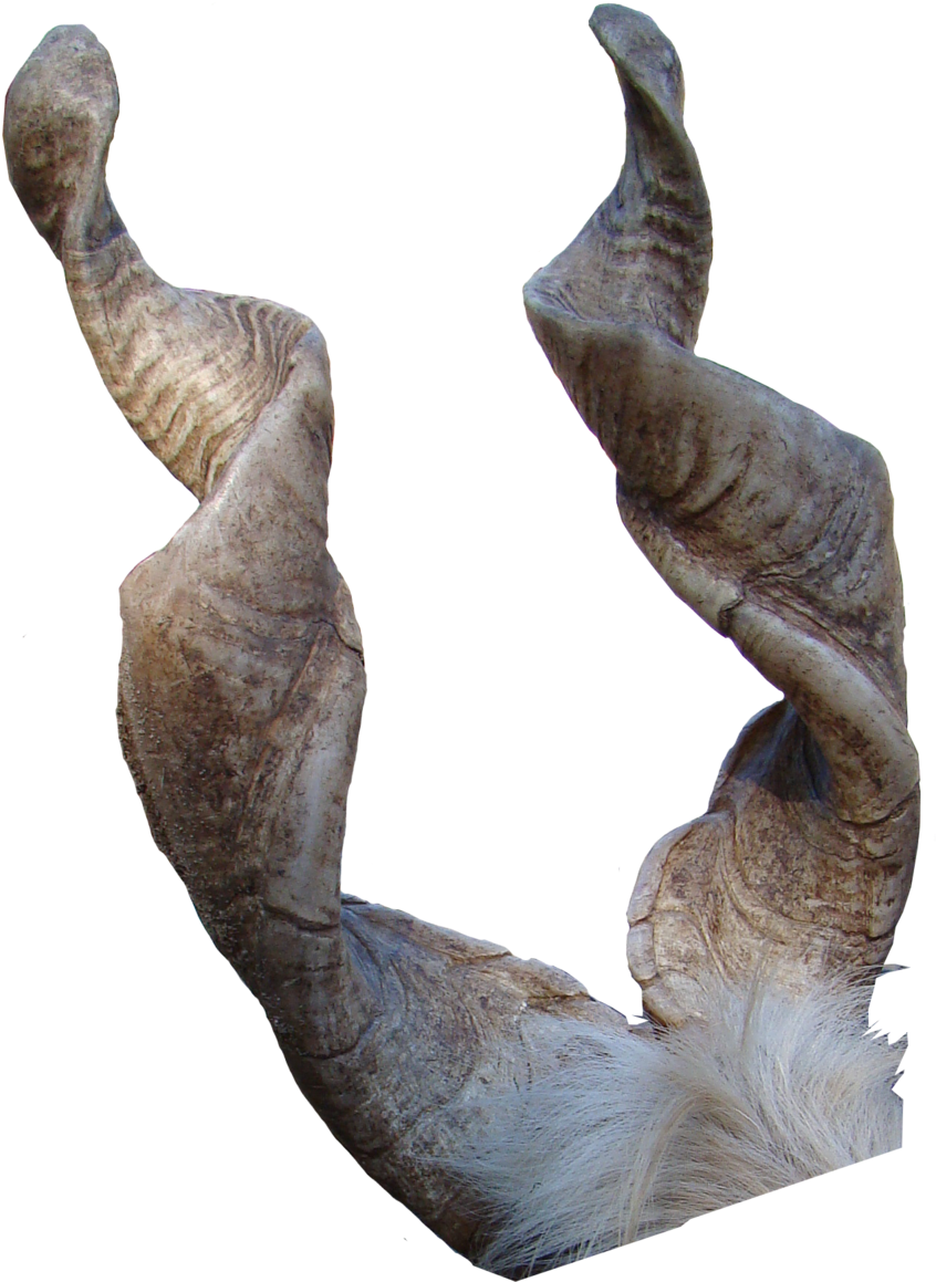 Goat Horns Png - Goat (900x1225), Png Download