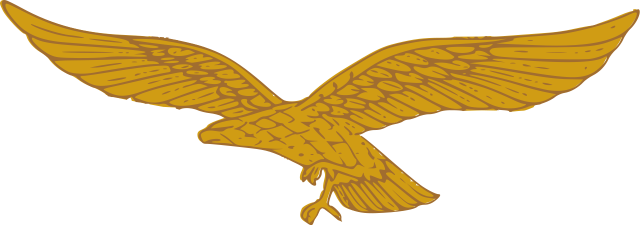 Since This Was A Nazi Eagle, Would It Be Offensive - German Golden Eagle (640x225), Png Download