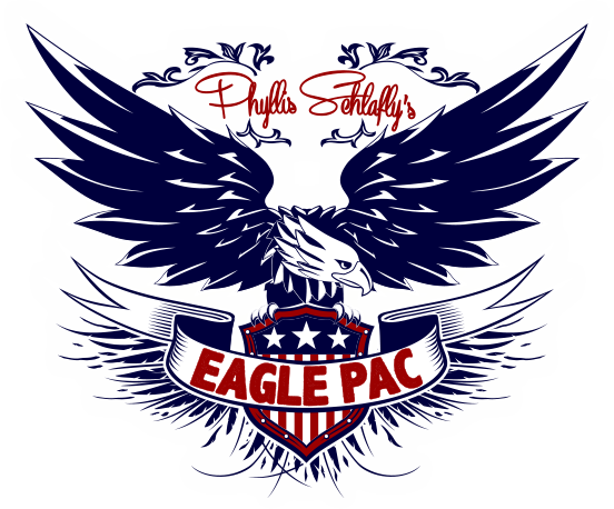Eagle Action Report Logo - Logo (552x458), Png Download