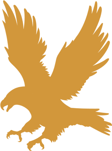 King Bless Footer Logo - King Eagle (500x500), Png Download