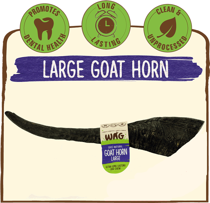 Goat Horn Treats For Dogs Large - Whole Antler Chew - Large Size (700x700), Png Download