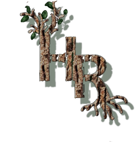 Heathen Roots - Blanket (560x507), Png Download