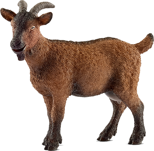 Schleich 13828 Goat, , Large - Goat Schleich (502x492), Png Download