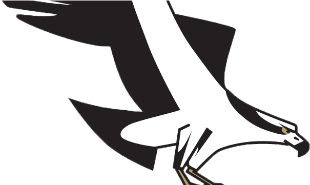 Osprey And Mustangs Postponed Friday Due To Field Conditions - Missoula Osprey (640x360), Png Download