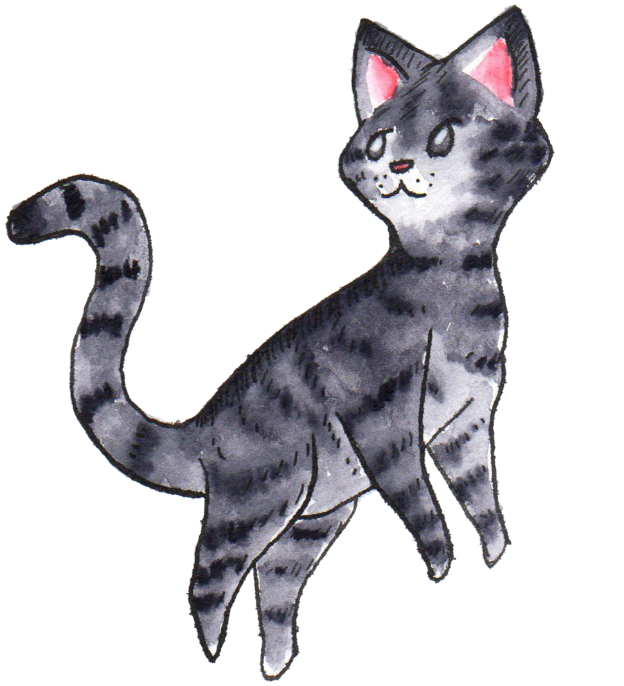 Grey Tabby Pattern Cat - Cat Yawns (993x1078), Png Download