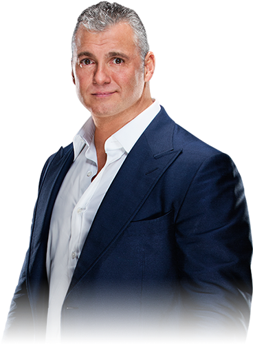 Custom Wrestler Picture - Shane Mcmahon (400x498), Png Download