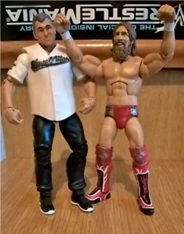 New Style Wwe Mattel Elite Shane Mcmahon & Daniel Bryan - Wwf Wrestlemania: The Official Insider's Story (800x785), Png Download