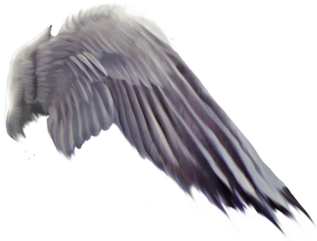 Wing Png Free Clip Art Royalty Free Download - Grey Bird Wing Png Transparent (474x350), Png Download