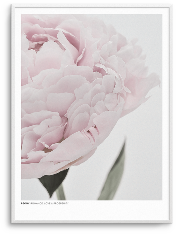 Romance Film (812x1023), Png Download