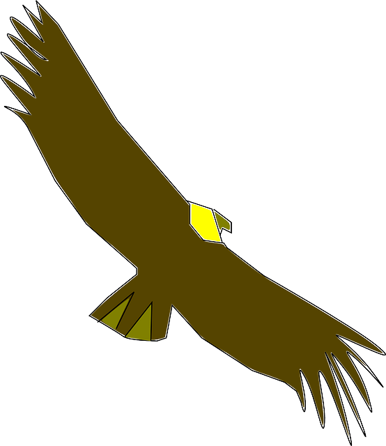 Vulture, Scavenger, Wildlife, Animal, Bird, Wings - Condor Clip Art (554x640), Png Download
