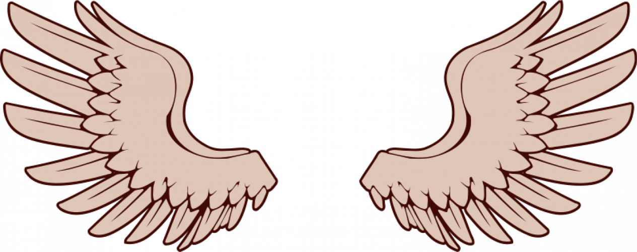 Vector Image Of Bird Wings - Bird Wings Clipart Png (1265x500), Png Download