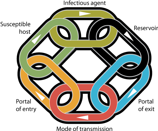 Slider Image - Chain Of Infection Uk (575x477), Png Download