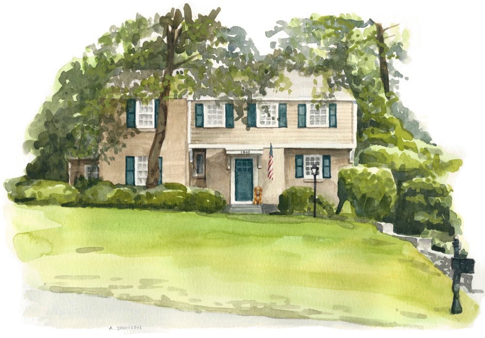 A Puppy On Greystone - Dog (1000x786), Png Download