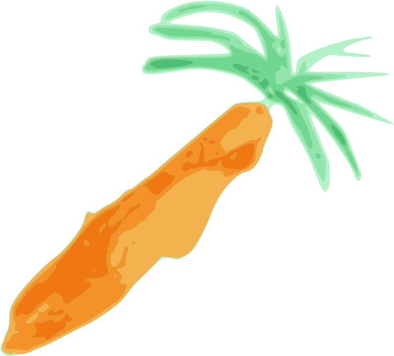 Picture Of Carrot - Carrot (800x800), Png Download
