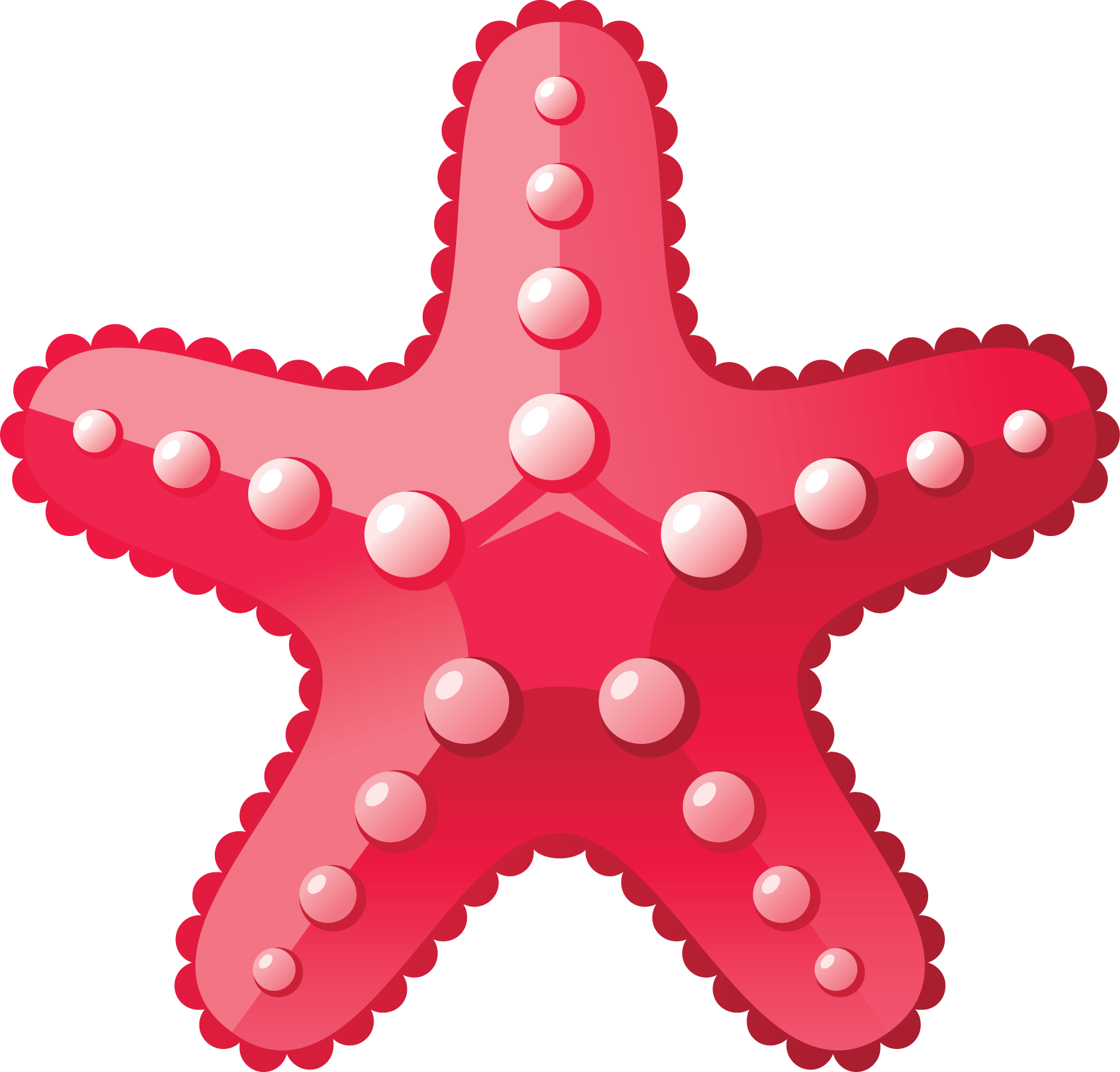 Download Amazing High-quality Latest Png Images Transparent - Cartoon Starfish Png (1024x980), Png Download