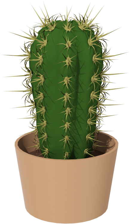 Cactus Png (438x749), Png Download
