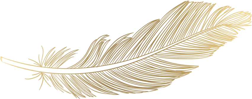 Feather Png Download Image - Password Logbook (1000x1000), Png Download