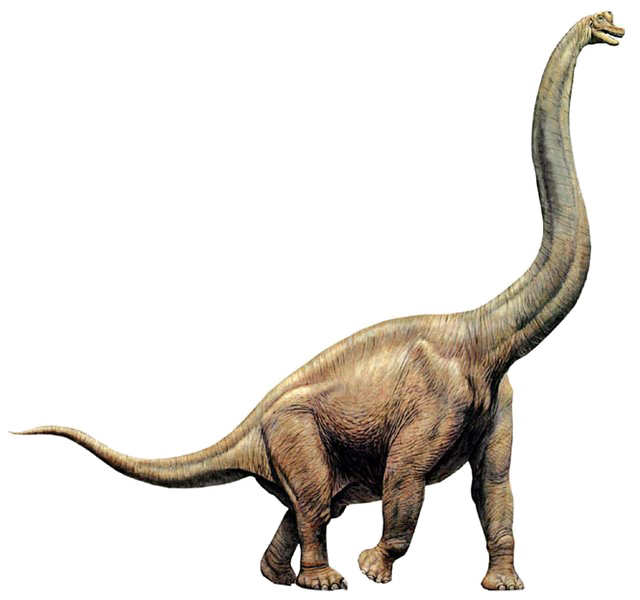 Dinosaur Vector Free Transparent Image - Brachiosaurus Long Neck Dinosaur (640x600), Png Download