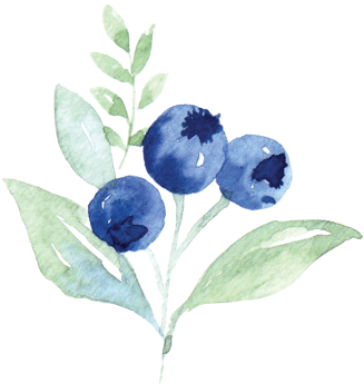 Calligraphy Blueberries (350x350), Png Download