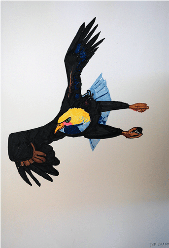 13 - Buzzard (700x500), Png Download