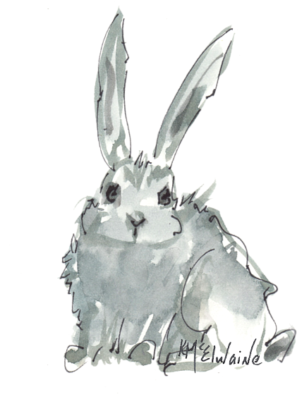 Bleed Area May Not Be Visible - Rabbit (600x600), Png Download