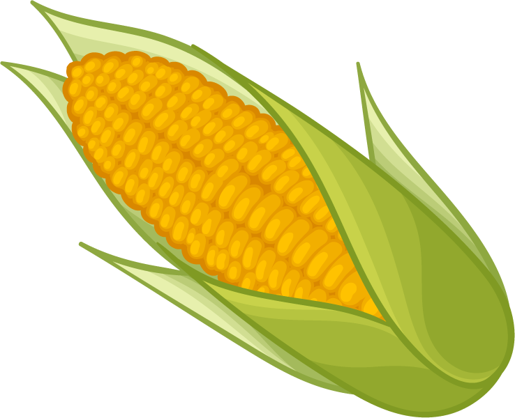 Corn Png Clipart - Clipart Corn On The Cob (738x600), Png Download