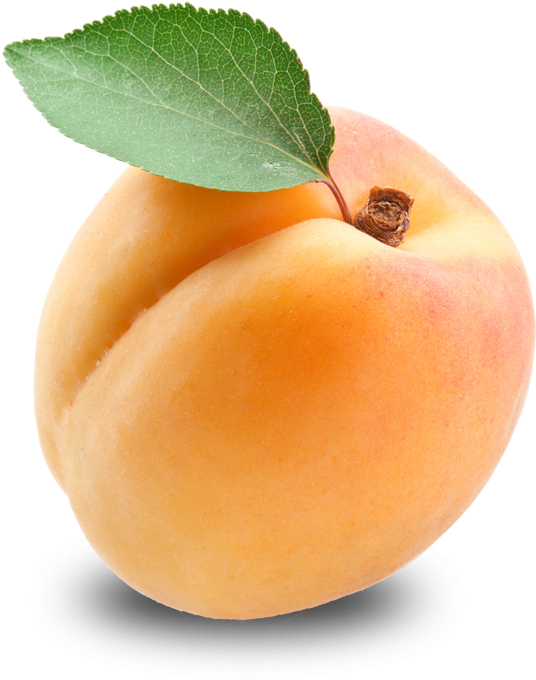 Apricot Free Download Png Hd - Apricot Png (744x744), Png Download