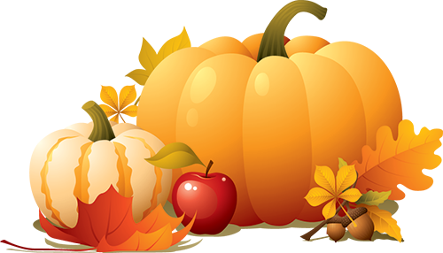 Alphagraphics Rochester - Thanksgiving Pumpkin Png (500x286), Png Download