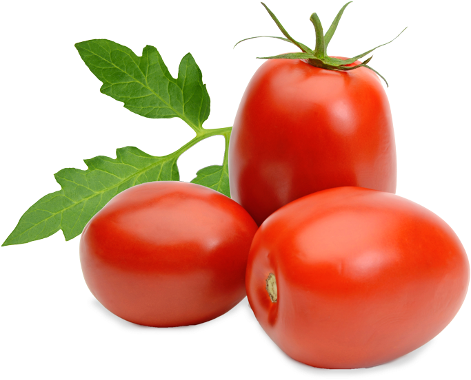 Tomatoes - Tomato Roma (800x800), Png Download