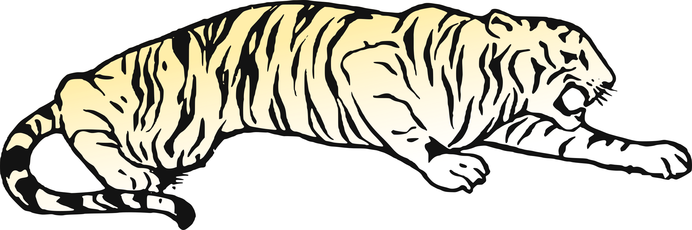 Tiger Png Download - Year Of The Tiger (2400x799), Png Download