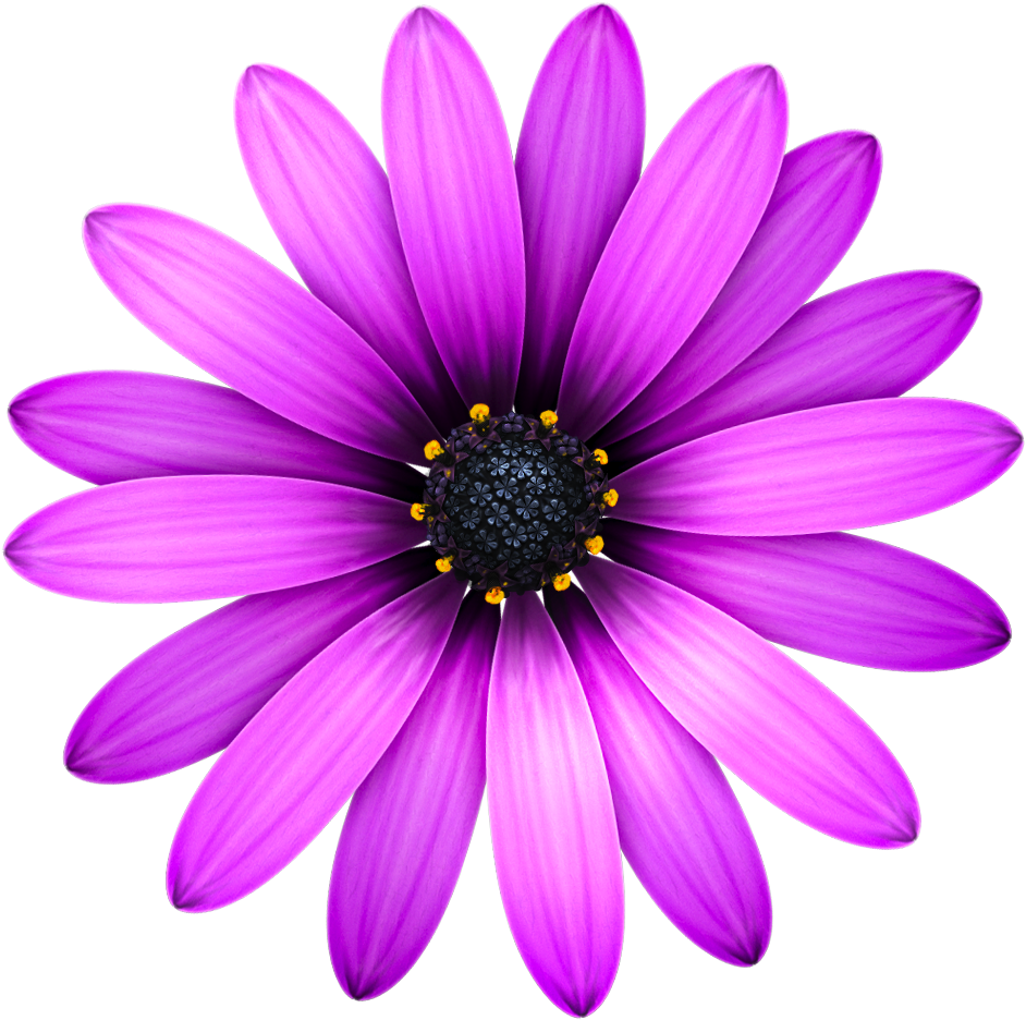 Description Textmateicon - Textmate Icon (1024x1024), Png Download