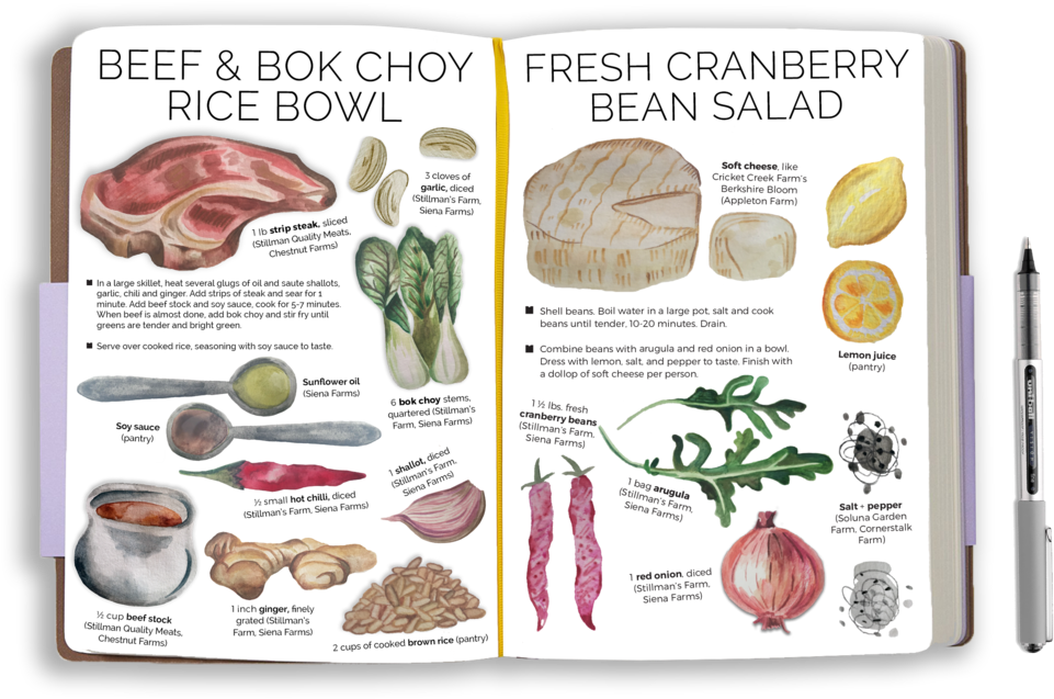 Redesigned Dinner Tonight Recipes While Illustrating - Broccoli (1000x667), Png Download