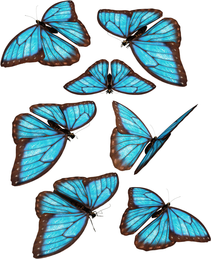 Blue Butterflies By Darkadathea On Deviantart Clip (900x1252), Png Download
