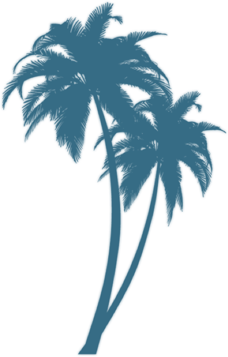 Turquoise Palm - Palm Tree Silhouette Png (451x705), Png Download