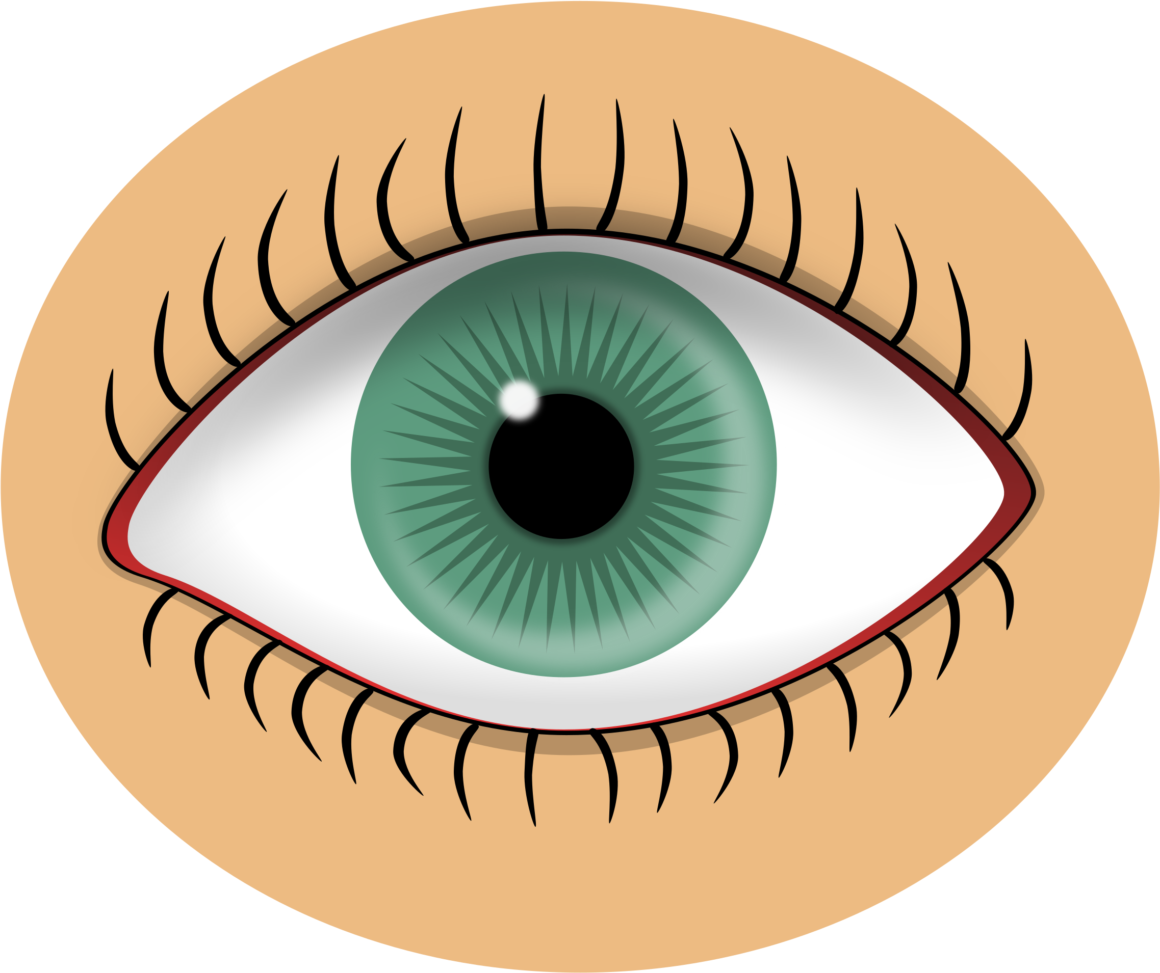 Eyelash Clipart Blue Eye - Eye Clipart (2400x2062), Png Download