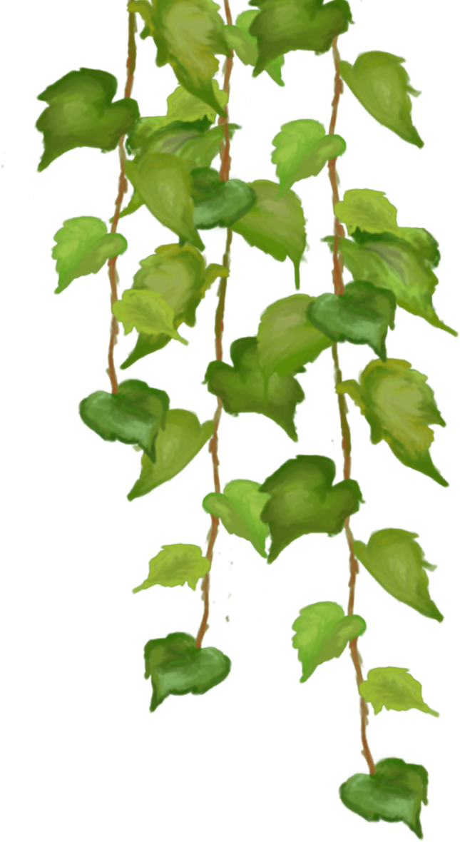 Tree (645x1180), Png Download