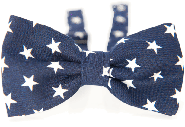 Stars Bow-tie - Bow Tie (700x700), Png Download