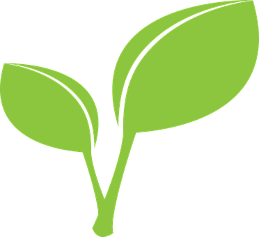 Green Leaf Leaves Leaf Leaf Leaf Leaf Leaf - Leaf Clipart Png (372x340), Png Download