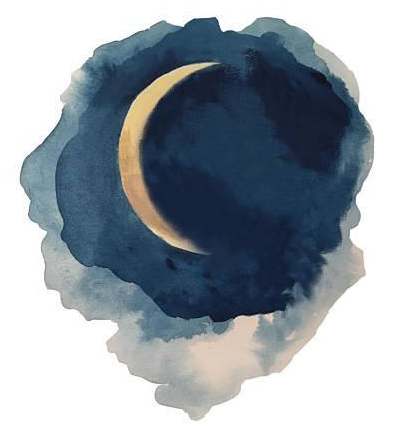 Banner Black And White Library Phases Of The Moon Series - Moon Phase Oil Paint (436x486), Png Download