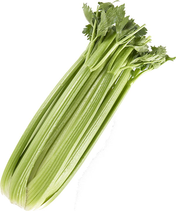 Clip Library Stock Celery Png Images Transparent Free - Celery Transparent (600x721), Png Download