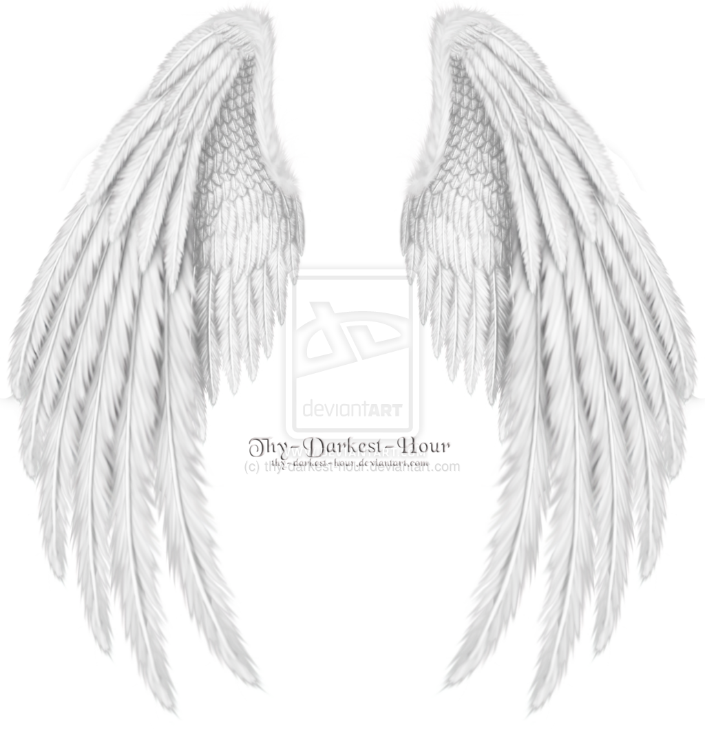 Folded Angel Wings Dragon Wings Folded White Angel - Folded Wings (1024x1059), Png Download
