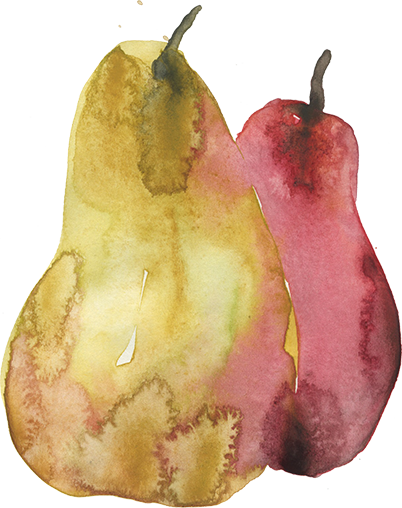 Pears-sm - Pear (402x508), Png Download