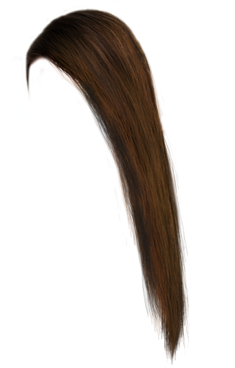 Hair Png, Photoshop - Long Brown Hair Png (400x533), Png Download