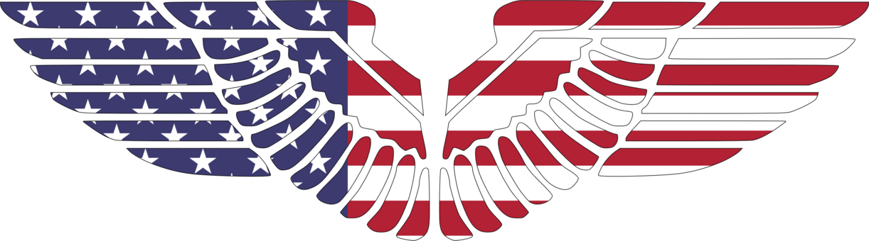 Bald Eagle Flag Of The United States Bird - American Eagle Wings Png (1222x340), Png Download