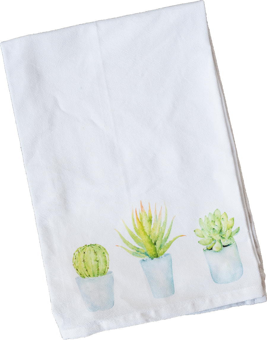 Blue Potted Succulents - Placemat (900x1146), Png Download