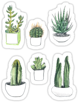 Watercolour Cacti And Succulents By Vicky Webb - Phil Lester House Plants (375x360), Png Download