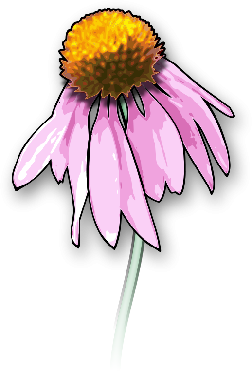 Drawing Death Download Dead Flowers Art Free Commercial - Dead Flower Clipart (491x750), Png Download