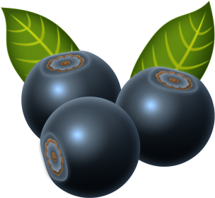 Blueberry, Beautiful, Vegetables, Fruits Png And Psd - Fruit (360x360), Png Download